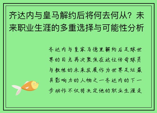 齐达内与皇马解约后将何去何从？未来职业生涯的多重选择与可能性分析