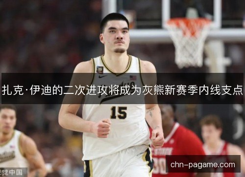 扎克·伊迪的二次进攻将成为灰熊新赛季内线支点 扎克·伊迪的二次进攻将成为灰熊新赛季内线支点